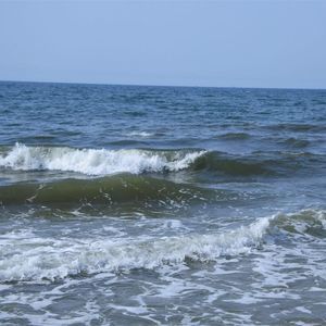 Meet your Posher, Frances